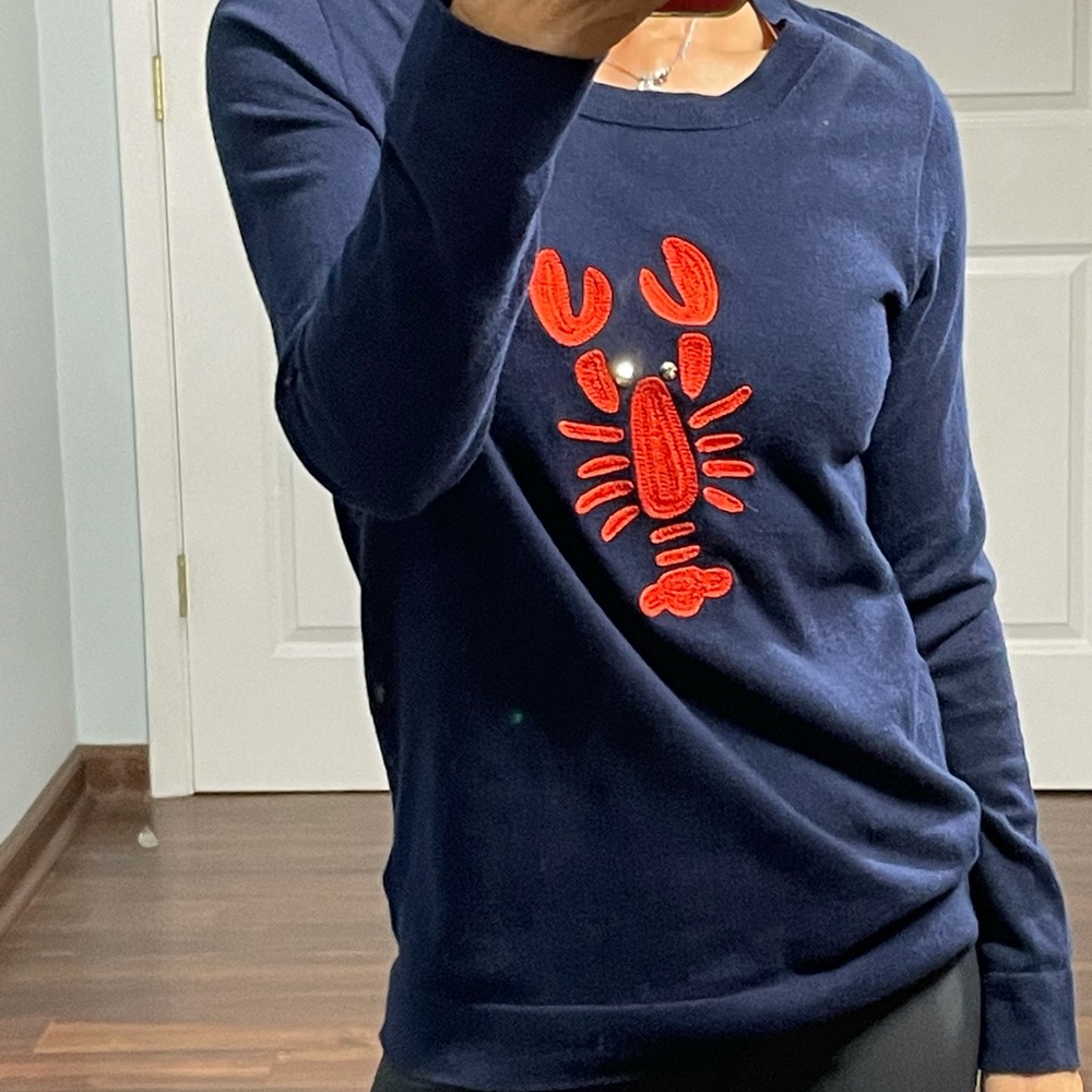 J Crew 100% Cotton Crawfish Embroidery long sleeves Sweater size XS - Picture 2 of 7
